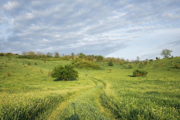 Quelles locations en Provence offrent des cours de fabrication de fromage et des randonnées dans les champs de lavande?